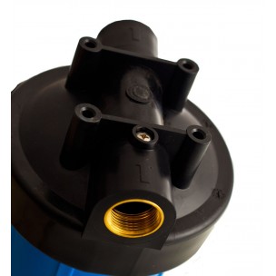 Фільтр води Аквілегія Big Blue 20" з картриджем