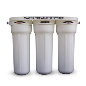 troynaya-systema-aquilegia