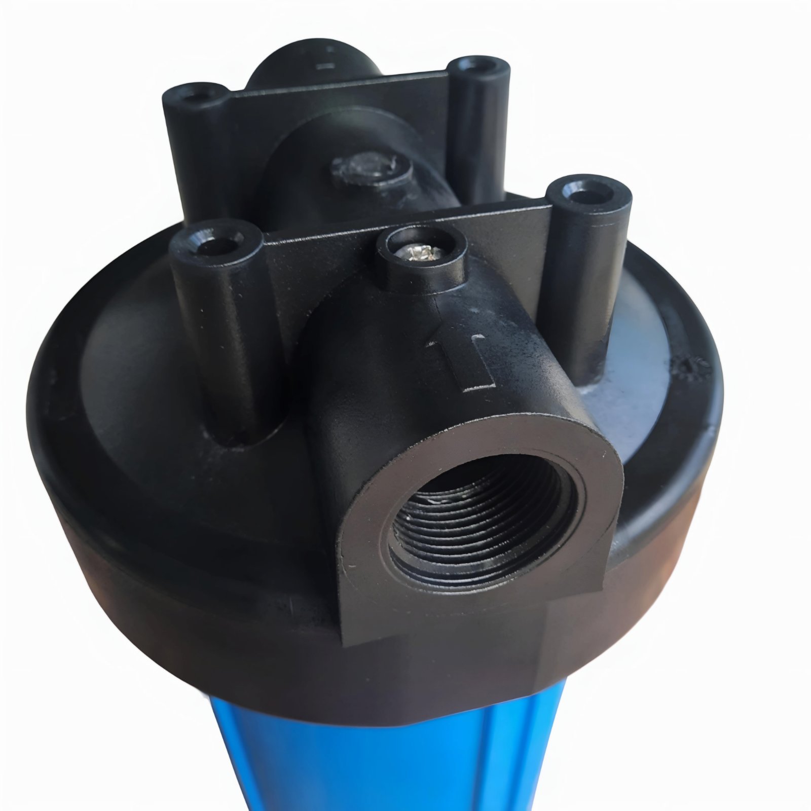 Фільтр води Аквілегія Big Blue 10"